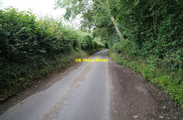 Photo 6"x4" Passing place - Waltham Lane Overton\/SU5149 c2014