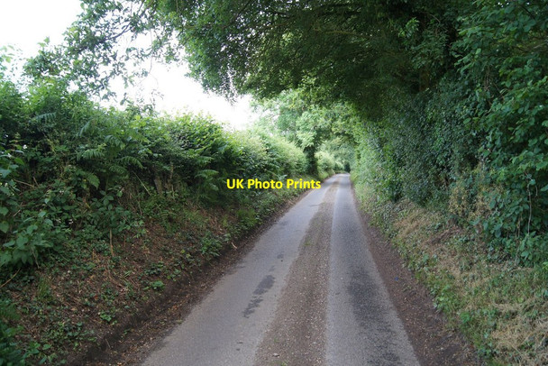 Photo 6"x4" Waltham Lane - direction North Waltham Overton\/SU5149 c2014