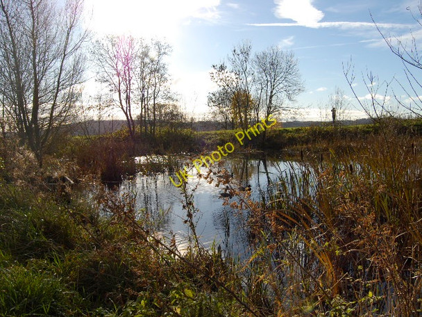 Photo 6"x4" Pond in Fairwater Park Fairwater\/ST1377 c2008