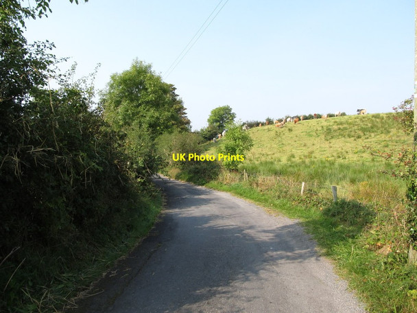 Photo 6"x4" Alina Road, Teer TD Drumakill c2014
