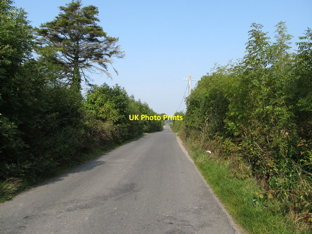 Photo 6"x4" View north along the L3700 Drumakill c2014