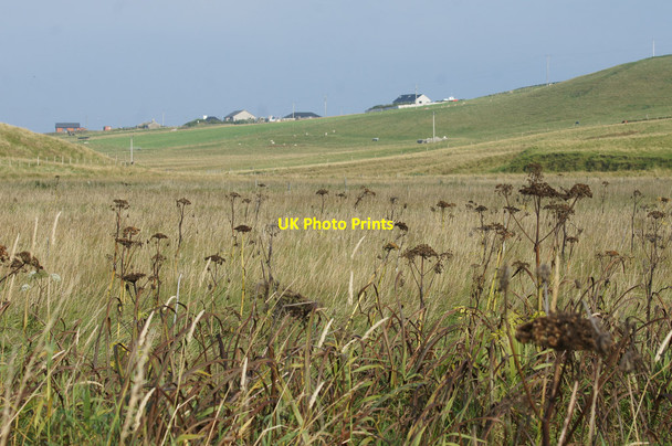 Photo 6"x4" Valley of the Burn of Norwick at Northdale Northdale\/HP6413 c2014