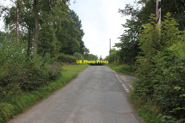 Photo 6"x4" Lane past Berrington Court Berrington\/SO5767 c2014