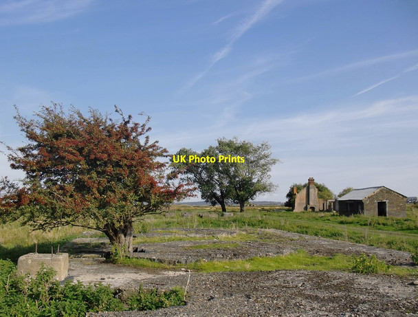 Photo 6"x4" The Poplars from the west, September 2014 Cliffe\/TQ7376 c2014
