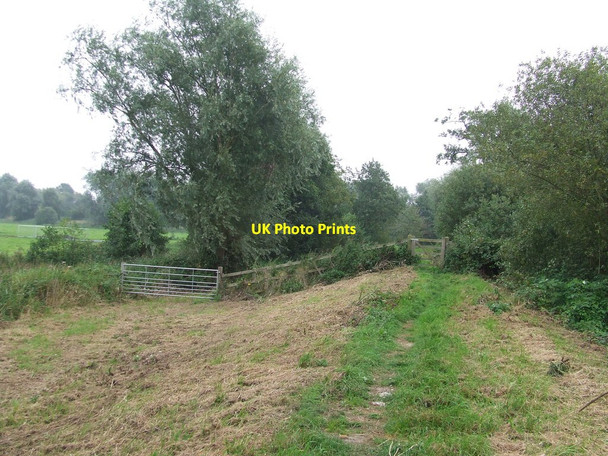 Photo 6"x4" River Bank Beccles c2014