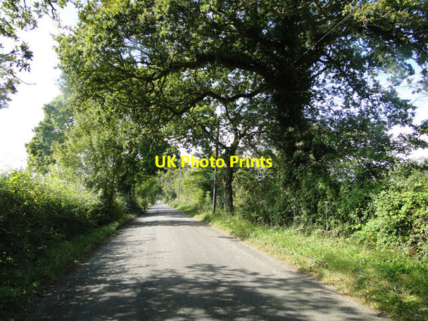 Photo 6"x4" Hawthorn Road towards Clay Hills East Green\/TM4065 c2014