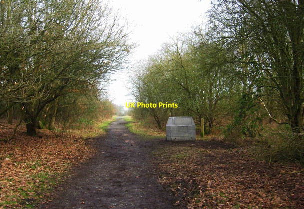 Photo 6"x4" Path running north-northeast from car park at Burlish Top, near Stourport-on-Severn Stourport-on-Severn c2013