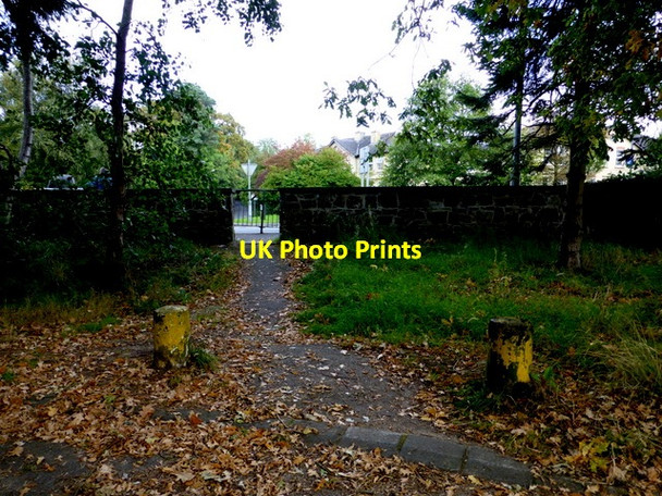 Photo 6"x4" Fallen leaves, T & F Hospital, Omagh Omagh c2014