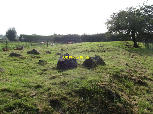Photo 6"x4" The site of the long cairn of the Ballykeel Dolmen Belleek\/H9827 c2014