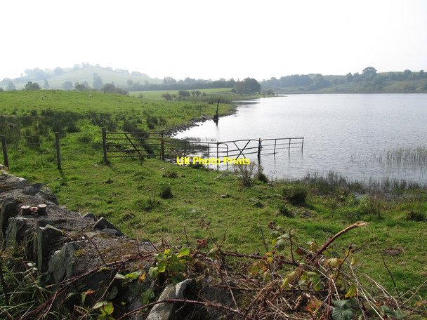 Photo 6"x4" Field boundary on the shores of Muckno Lough Drumakill c2014