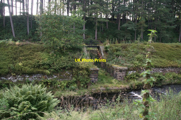 Photo 6"x4" Crowden Brook Crowden\/SK0799 c2014