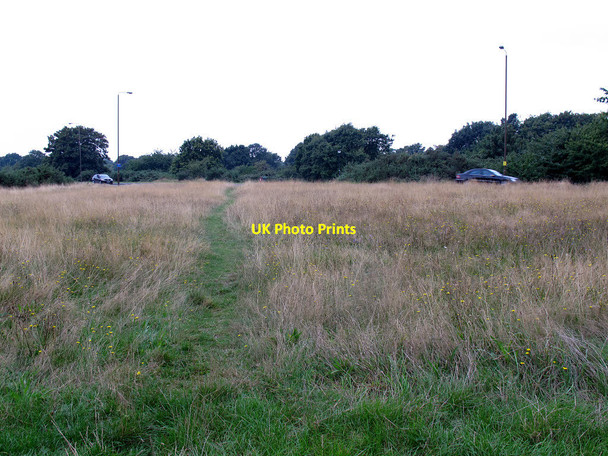 Photo 6"x4" Path on Blackheath Greenwich\/TQ3977 c2014
