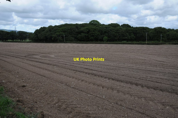 Photo 6"x4" Arable field and Glascoed Ty'n-y-ffordd\/SJ0272 c2014