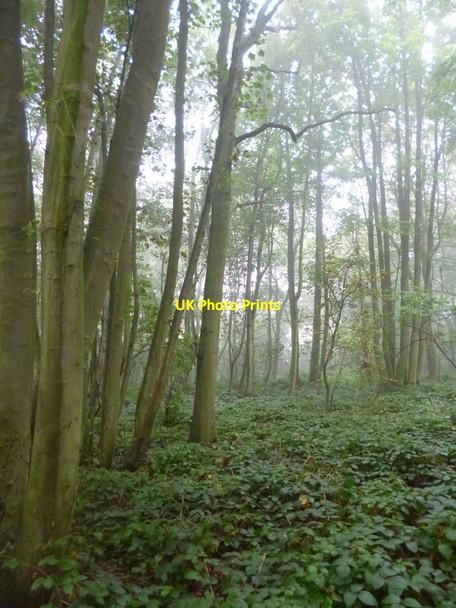 Photo 6"x4" Everdon Stubbs Everdon c2014