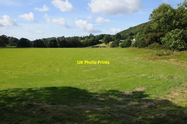 Photo 6"x4" Meadow at Bont-Newydd Bont-newydd\/SJ0170 c2014