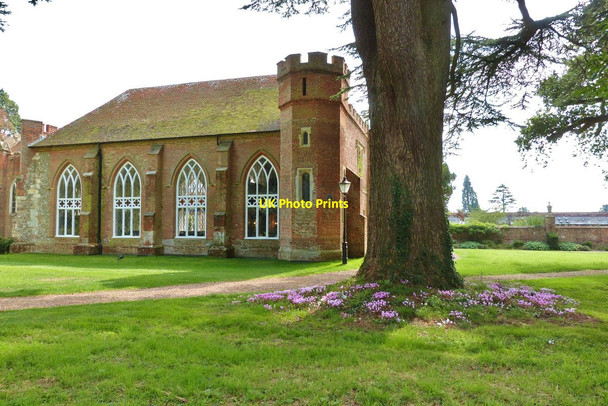 Photo 6"x4" Lovely display of cyclamen, Stansted House Estate Stubbermere c2014