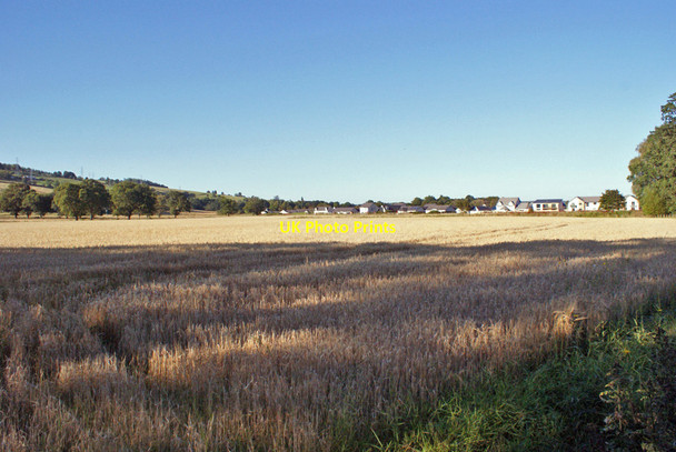 Photo 6"x4" Field south west of Beauly Balblair\/NH5045 c2014
