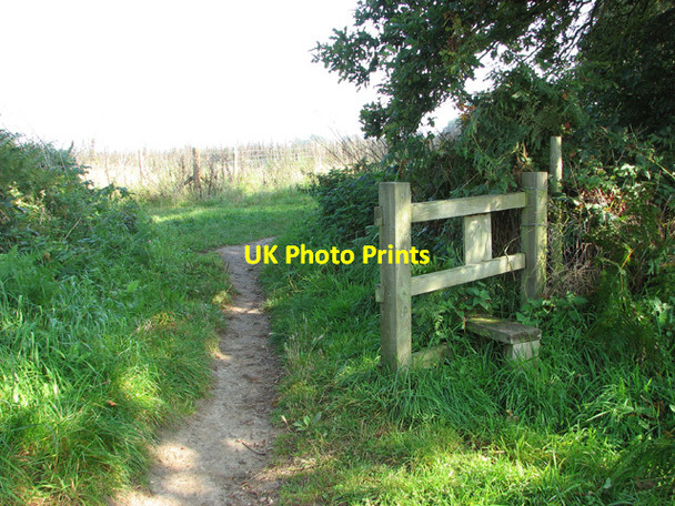 Photo 6"x4" Redundant stile beside footpath Salhouse c2014