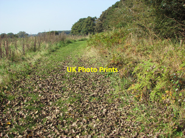 Photo 6"x4" Footpath past Hagg Wood Salhouse c2014