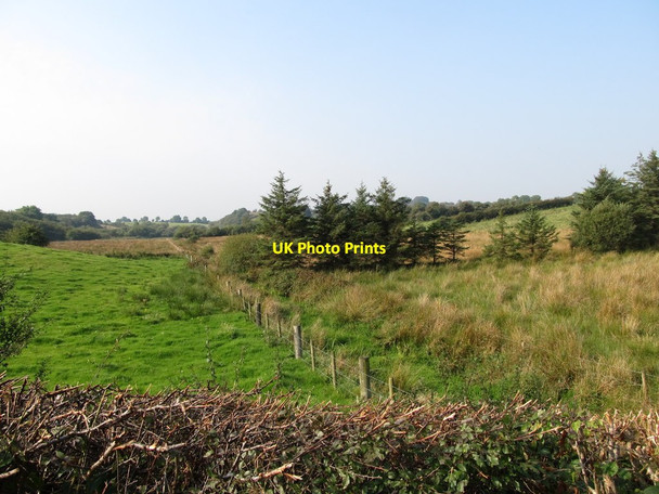 Photo 6"x4" Inter-drumlin wetland on the western side of Annaghmore Road Crossmaglen c2014