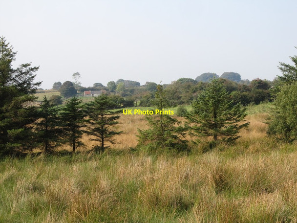 Photo 6"x4" View across wetland to an abandoned homestead off Teer Road Crossmaglen c2014