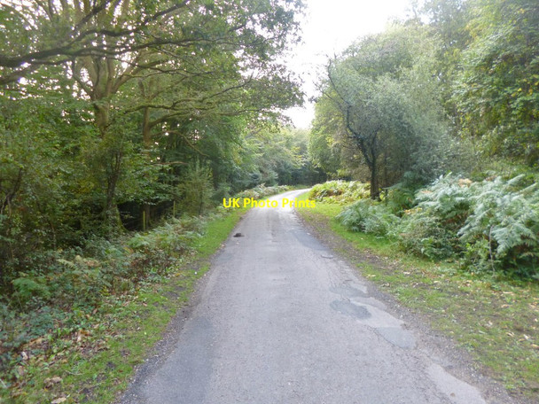 Photo 6"x4" Woodgreen, minor road Fordingbridge c2014