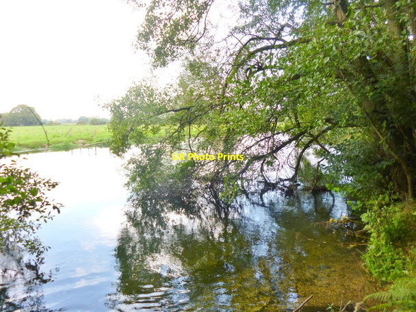 Photo 6"x4" Woodgreen, riverbank Fordingbridge c2014