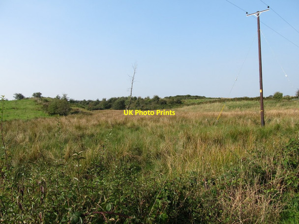 Photo 6"x4" Wetland west of Teer Road Crossmaglen c2014