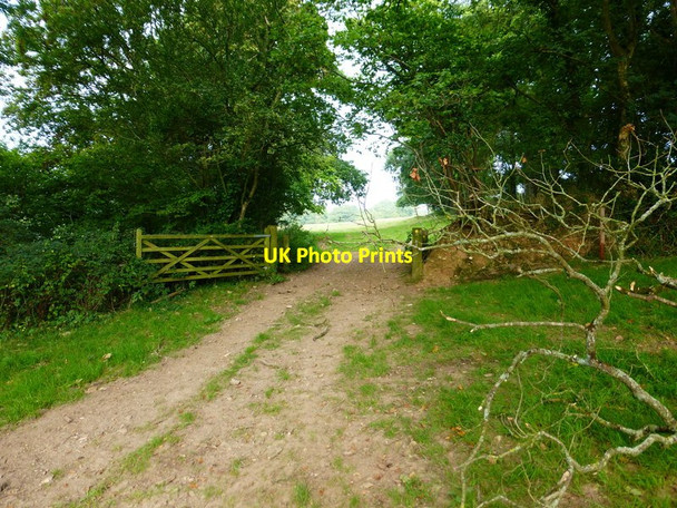 Photo 6"x4" Channel to Channel (134) Membury\/ST2703 c2014