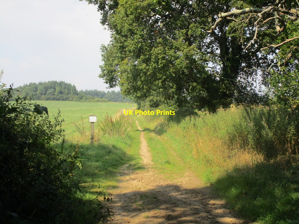 Photo 6"x4" Bridleway to Kite Hill Throop c2014