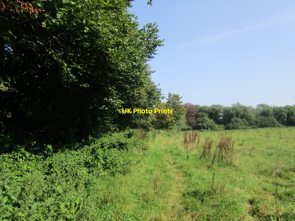 Photo 6"x4" Footpath to Turners Puddle Briantspuddle c2014
