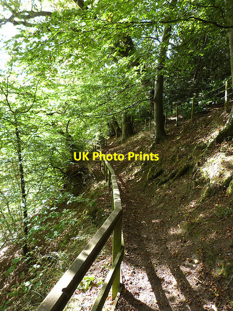 Photo 6"x4" Border Abbeys Way by Hornshole Bridge Cauldmill c2014