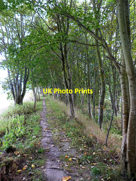 Photo 6"x4" Border Abbeys Way above Denholm Denholm\/NT5618 c2014