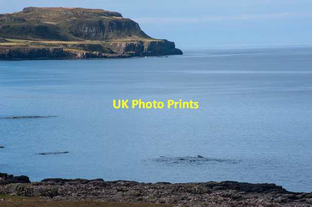 Photo 6"x4" School of Dolphins leaving Calgary Bay Calgary c2014