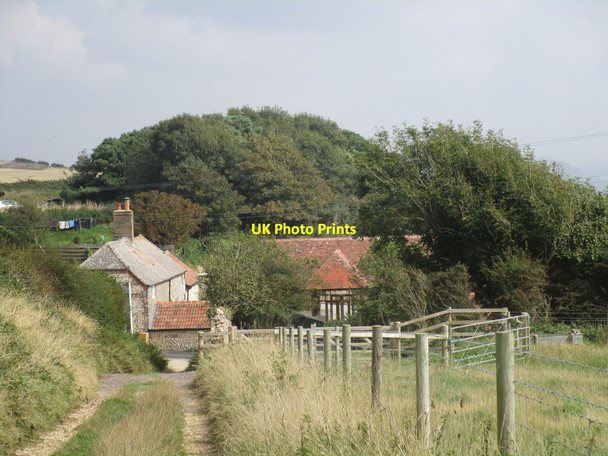 Photo 6"x4" Dropping down to Newlands Farm West Lulworth c2014