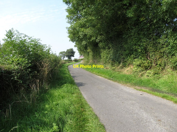 Photo 6"x4" Lough Road ascending towards the Drumlougher Cross Roads Drumakill c2014