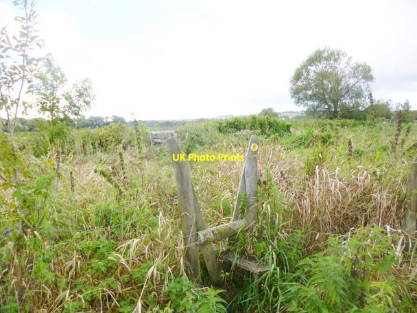 Photo 6"x4" Hale, stile Woodgreen\/SU1717 c2014