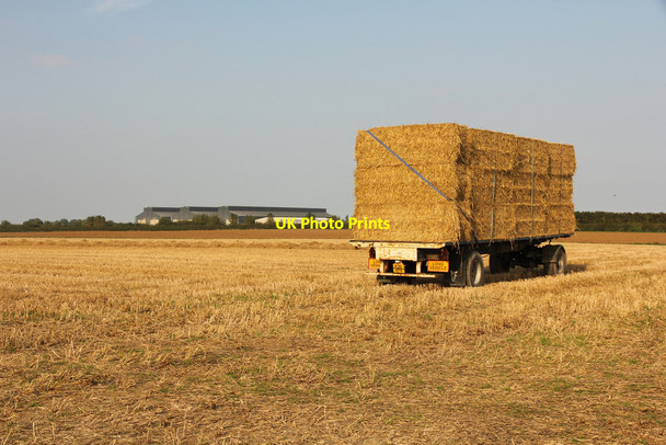 Photo 6"x4" After the harvest Strubby\/TF4582 c2014
