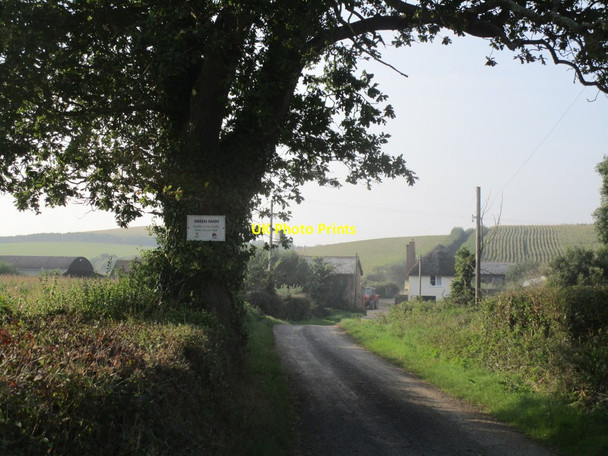 Photo 6"x4" Lane to Green Farm Exmouth c2014