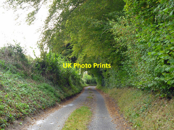Photo 6"x4" Pickaxe Lane South Warnborough c2014