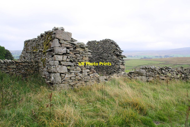 Photo 6"x4" Ruined barn opposite disused quarry south of Banks Ravenstonedale c2014