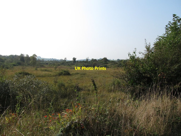 Photo 6"x4" Annaghmare Bog Cullyhanna c2014