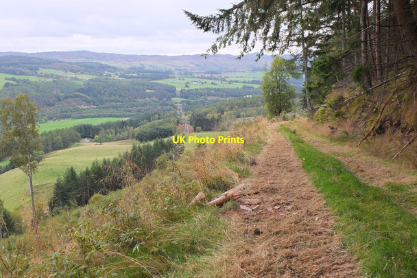 Photo 6"x4" Track in Logierait Woods Milton of Dalcapon c2014