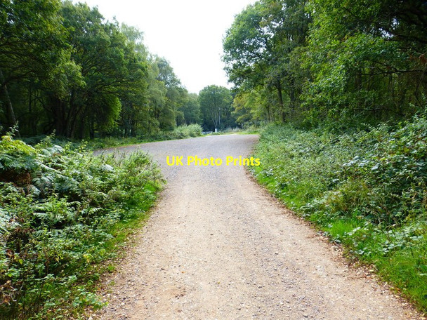 Photo 6"x4" Looking south towards Bourley Road on wide MoD track Aldershot c2014