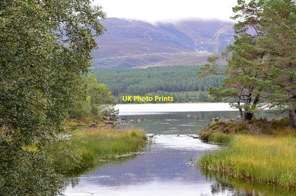 Photo 6"x4" Outflow of Loch Morlich Loch Morlich c2014