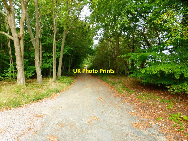 Photo 6"x4" Looking north on Claycart Road Aldershot c2014