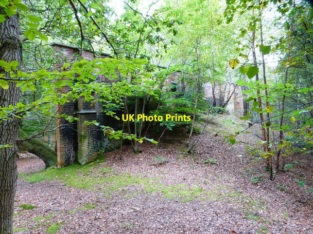 Photo 6"x4" Military wall in woods by Rushmoor Road Aldershot c2014
