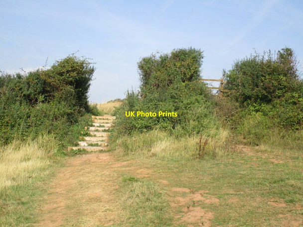 Photo 6"x4" Diverted path Budleigh Salterton c2014
