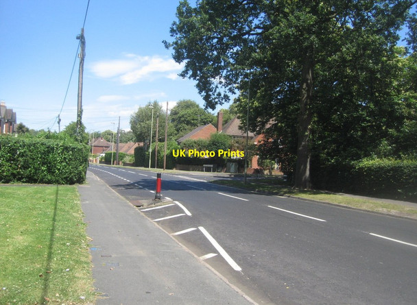Photo 6"x4" View along Prospect Road Farnborough\/SU8754 c2014