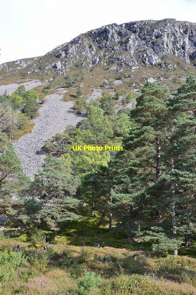 Photo 6"x4" Hillside below Creag na Gaibhre, Glen Feshie Carnachuin c2014